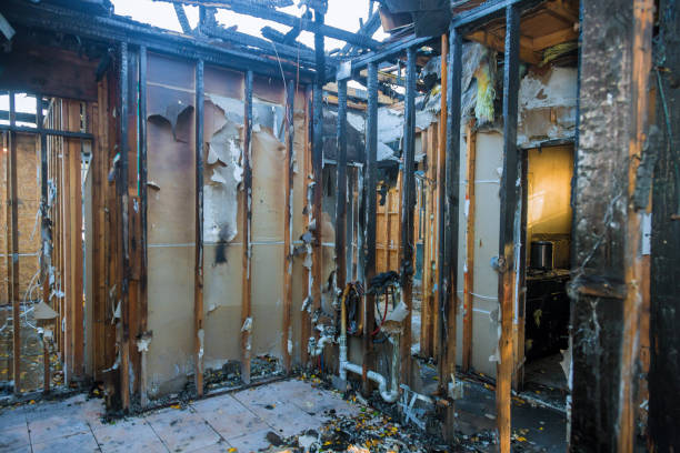 Professional Structural Rebuild technician working in Dayton, TX
